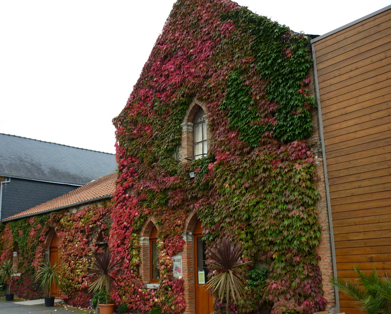 Caveau de dégustation