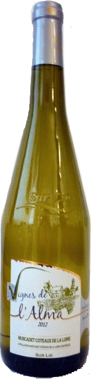 Muscadet