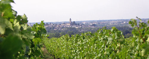 Le panorama sur Saint Florent le Vieil